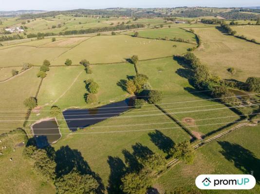 Terrain de loisir de 46 710 m2 à SAINT-LAURENT-D'ANDENAY