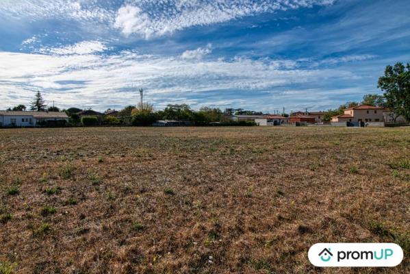 Terrain constructible 8674 m2 à Cintegabelle