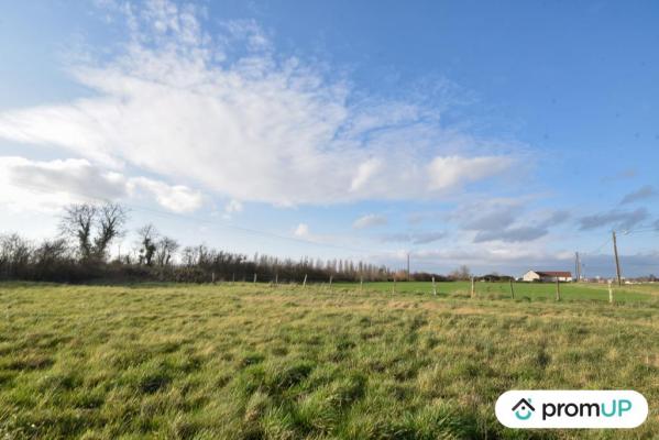 Terrain de 1715 m2 à CHEMILLY-SUR-YONNE