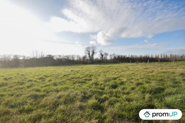 Terrain de 1715 m2 à CHEMILLY-SUR-YONNE