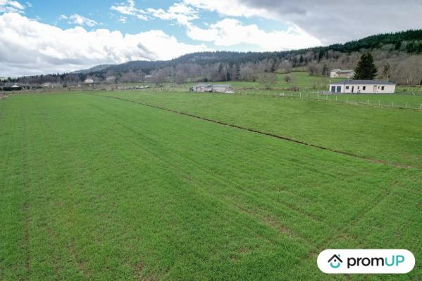 Terrain constructible de 8830 m2 à ARAULES