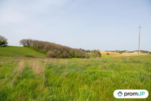 Investissez dans l’agrivoltaïsme