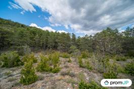 Forêt de 92370 m2 à TRIGANCE