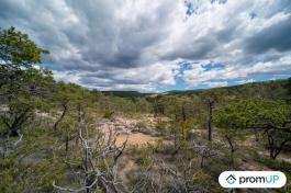 Forêt de 92370 m2 à TRIGANCE