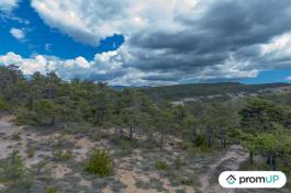 Forêt de 92370 m2 à TRIGANCE