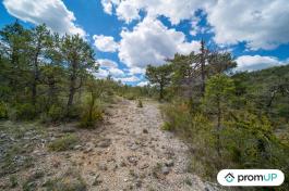 Forêt de 92370 m2 à TRIGANCE