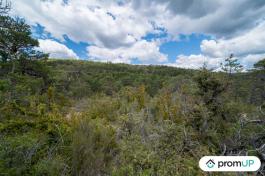 Forêt de 92370 m2 à TRIGANCE