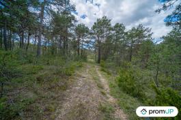 Forêt de 92370 m2 à TRIGANCE