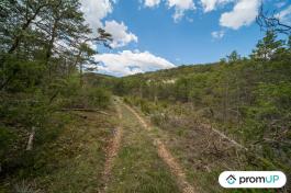 Forêt de 92370 m2 à TRIGANCE