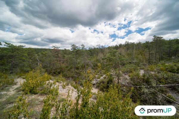 Forêt de 92370 m2 à TRIGANCE