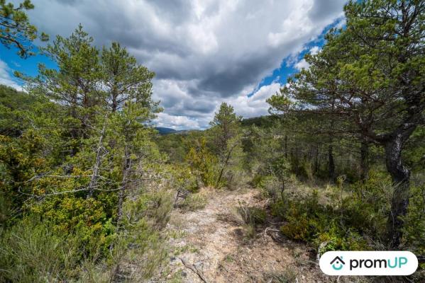 Forêt de 92370 m2 à TRIGANCE