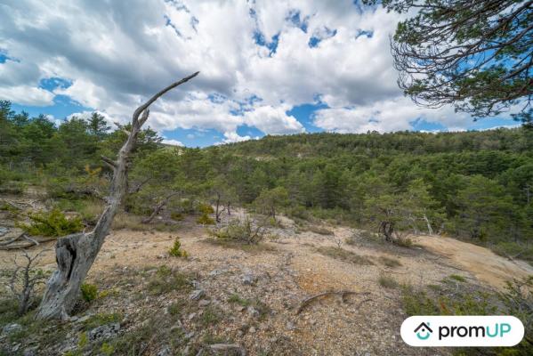 Forêt de 92370 m2 à TRIGANCE