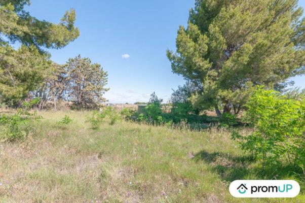 Terrain non constructible de 569 m2 à MARSEILLAN