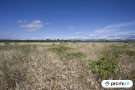 Terrain non constructible de 5210 m2 à SAINT-HIPPOLYTE