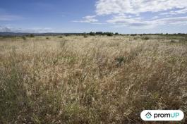 Terrain non constructible de 5210 m2 à SAINT-HIPPOLYTE