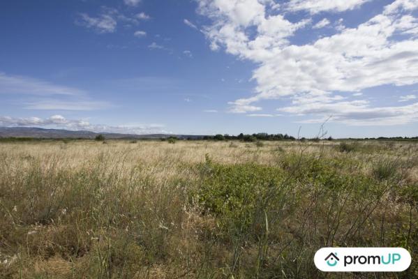 Terrain non constructible de 5210 m2 à SAINT-HIPPOLYTE