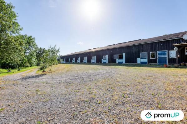 Ancien haras de 148 m2 + bâtiment agricole de 125 m2 à ALLIÈRES BEAUVOIR