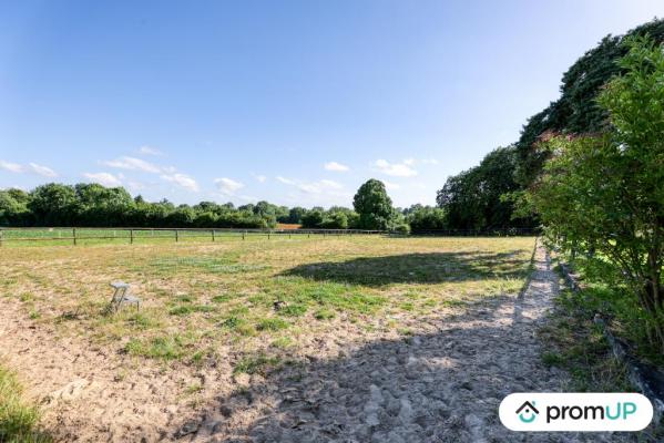 Ancien haras de 148 m2 + bâtiment agricole de 125 m2 à ALLIÈRES BEAUVOIR