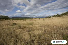 Terrain agricole de 28 200 m2 à FABREZAN