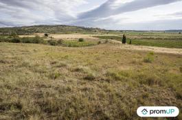 Terrain agricole de 28 200 m2 à FABREZAN