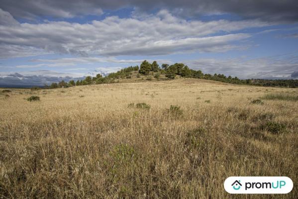 Terrain agricole de 28 200 m2 à FABREZAN