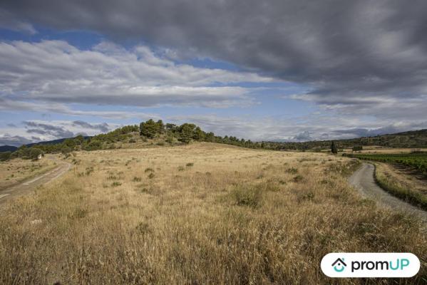 Terrain agricole de 28 200 m2 à FABREZAN