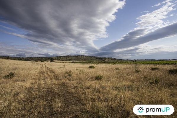 Terrain agricole de 28 200 m2 à FABREZAN