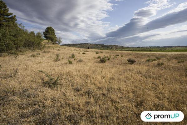 Terrain agricole de 28 200 m2 à FABREZAN