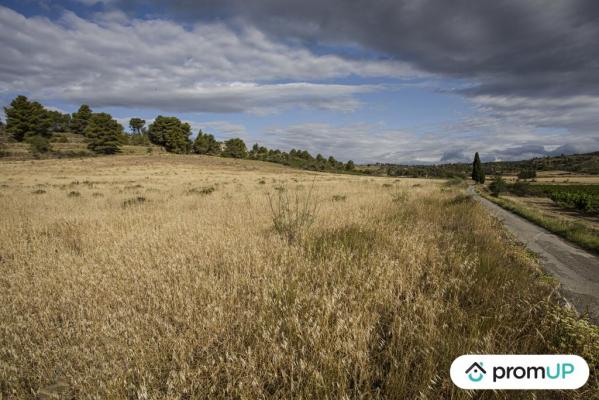 Terrain agricole de 28 200 m2 à FABREZAN