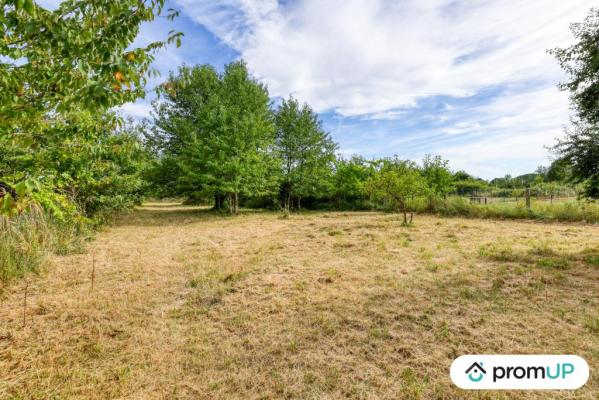 Terrain constructible de 2860 m2 à VEUZAIN SUR LOIRE