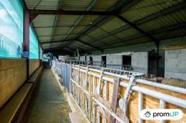 Corps de ferme en Charente