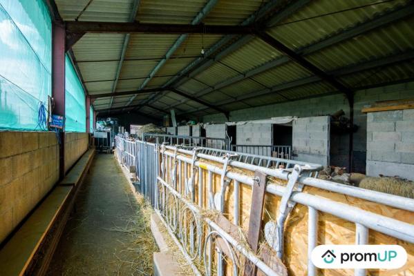 Corps de ferme en Charente