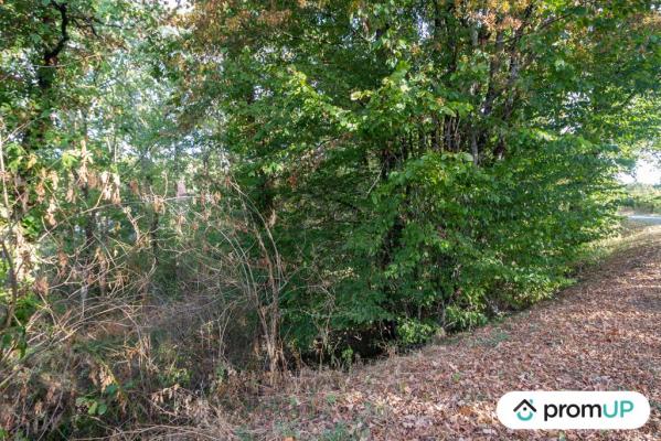 Terrain constructible de 3 564 m²