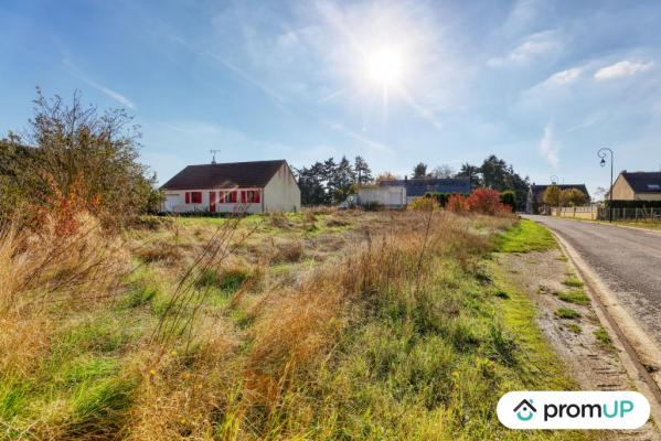 Terrain constructible plat et divisible - Cœur de Beauce