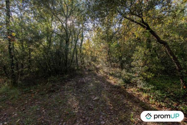 Le Cannet-de-Maures : Terrain agricole de 9625m²