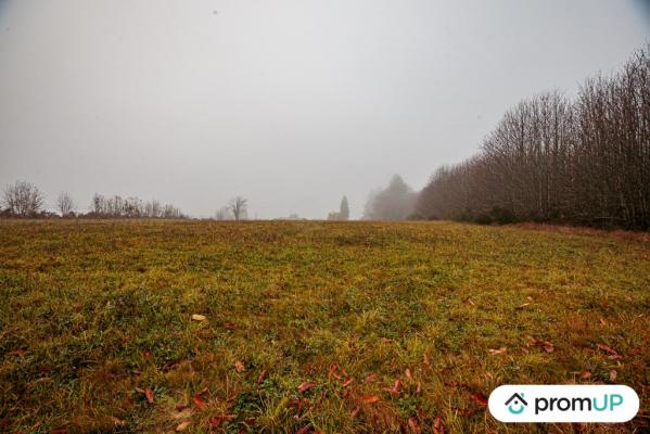 Grand terrain constructible et piscinable - Parc naturel Périgord-Limousin