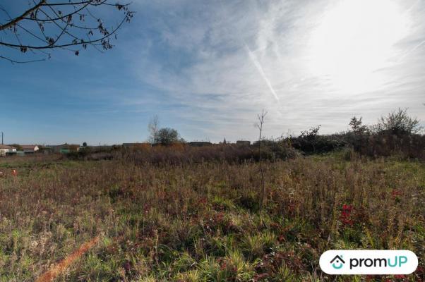 Terrain constructible de 1 181 m²