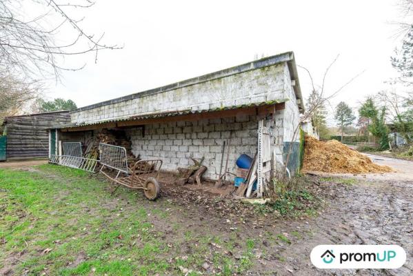 Centre équestre + Terrains constructibles