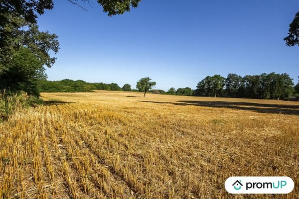 Terrain de 1,4623 hectare à Saint-Maurice-la-souterraine