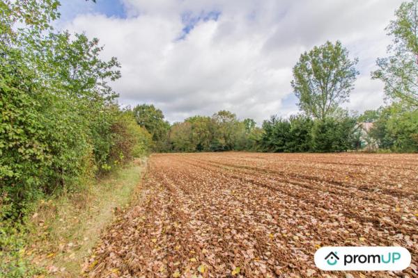 Terrain constructible de 5 070 m²