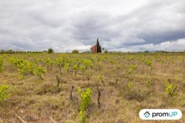 Terrain agricole de 3ha45a situé à Puichéric