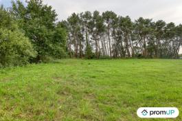 Terrain de loisir de 982m² situé à Saint-Mars-la-Brière