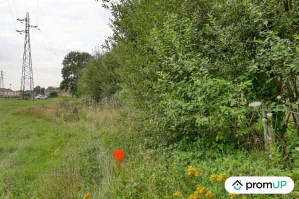 Terrain de loisir de 982m² situé à Saint-Mars-la-Brière