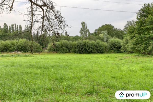 Terrain de loisir de 982m² situé à Saint-Mars-la-Brière