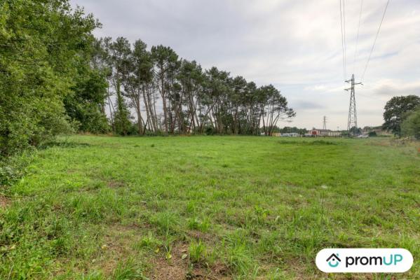 Terrain de loisir de 982m² situé à Saint-Mars-la-Brière