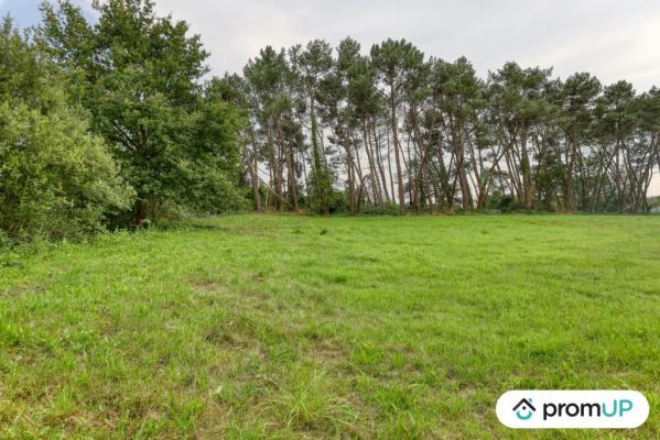 Terrain de loisir de 982m² situé à Saint-Mars-la-Brière