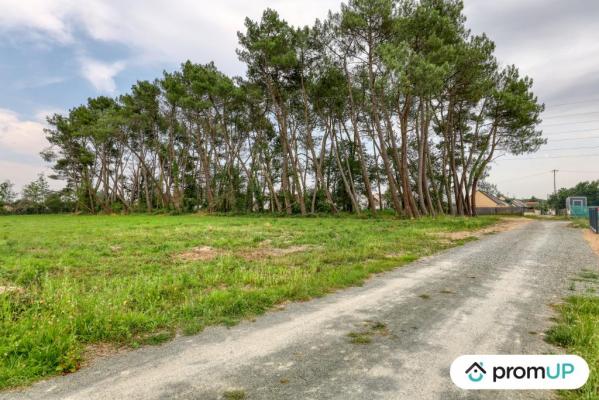 Terrain de loisir de 874m² situé à Saint-Mars-la-Brière