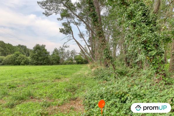 Terrain de loisir de 874m² situé à Saint-Mars-la-Brière