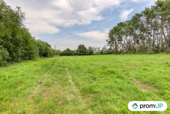 Terrain de loisir de 874m² situé à Saint-Mars-la-Brière