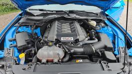 Ford Mustang 5.0 421 Blue